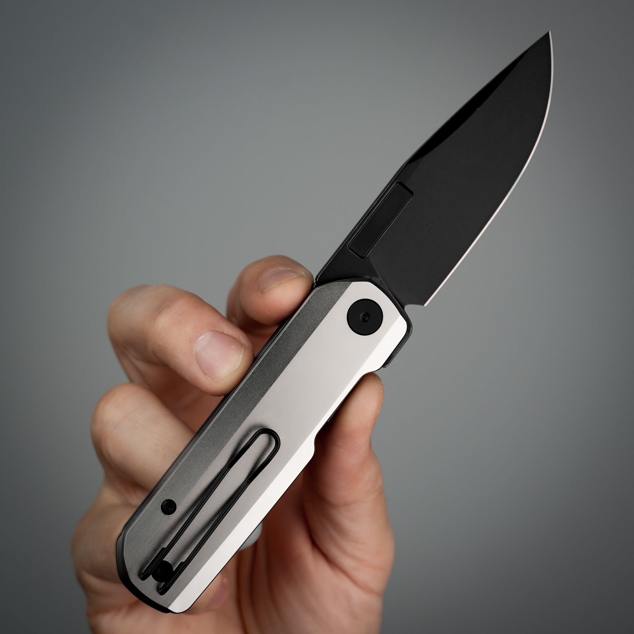 Custom Ti Laser-Etching Only Service